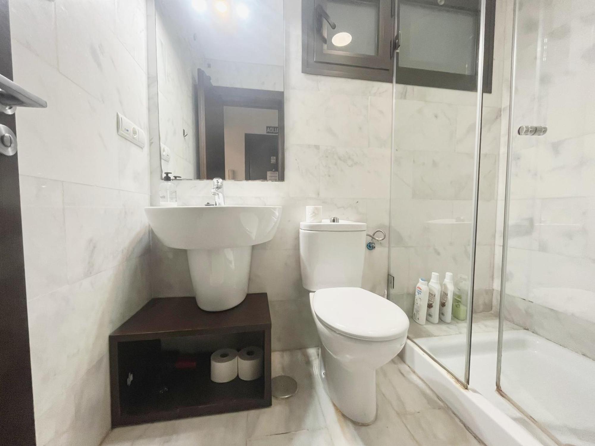 Apartment Center Confort 4 Seville